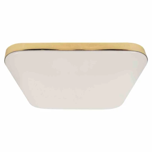 Plafon NEMO złoty 17W LED szer.33cm