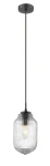 Lampa wisząca ARAUCA LE41862 transparentny 1xE14