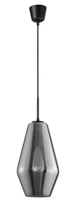 Lampa wisząca CANETE LE41938 czarny 1xE27