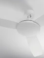 e06b46938aaf797e0f4c9f5f94c2e95f