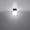 60479d65ebc8298df188ee9fa8fa91d2