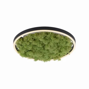 Plafon Zumaline GREEN RITUS 15391-66