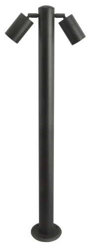 acec2770422c879f470934d2f6c72166