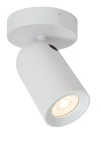 Spot/ reflektor Lucide PUNCH 13958/01/31 biały