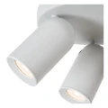 a2edf928545f144ec83359e812fe6603