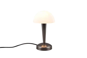 Lampa stołowa RL CANARIA R59561120 czarny, srebrny