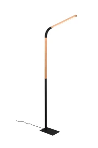Lampa podłogowa Trio NORRIS 445210132 czarny