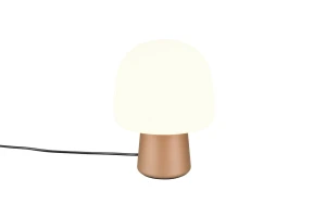 Lampa stołowa Trio STEEN 568200165 brązowy