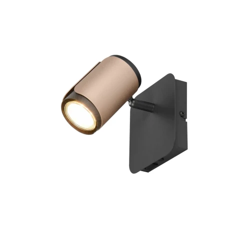 a7e56d6b9d273a8e454ef38bd615d3e1