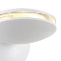 116f554ac4cc4bfbfede3a86012252a2