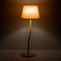 9ab2f30c1c094754d00329fa2d69c796