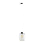 Lampa wisząca 10662 TK Lighting TRACER elio Transparent 1xE27