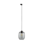 Lampa wisząca 10663 TK Lighting TRACER elio Grafit 1xE27