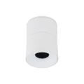 8e03b188700ec32f35079d575f576eae