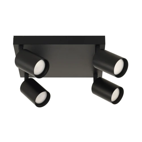 c03136feaae82c7b49b87d1eb71df05c