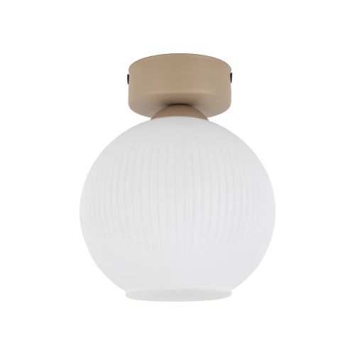 8f29ae2f0b87f0365dd44f929aadb1a4