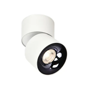 Ruchoma oprawa natynkowa BREMA biała LED CCT