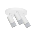 2413a5761c41eb8dd2452ce0282d52fc