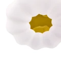 b5742f8833ae981204304dd1a73ab050