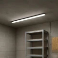 25bda03219b09c727c2c048f84613805