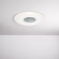 23073076ed03817c907ee39e76023725