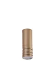 LOCUS CHAMPAGNE
