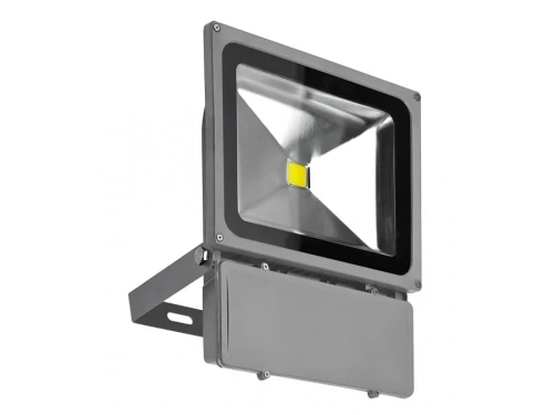 FLOOD LIGHT 80W BGR