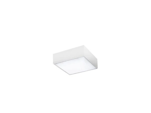 Plafon MONZA S 22 4000K biały LED szer.22cm