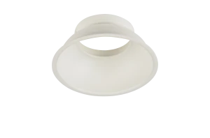 REMO R WHITE