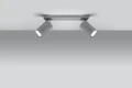 Spot RING 2 szary GU10