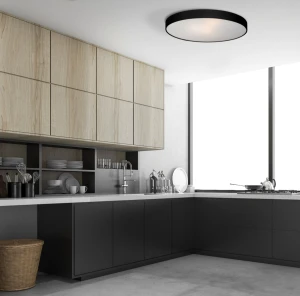 Plafon RAPIDO duży 4000K LP-433/1C L czarny LED Light Prestige