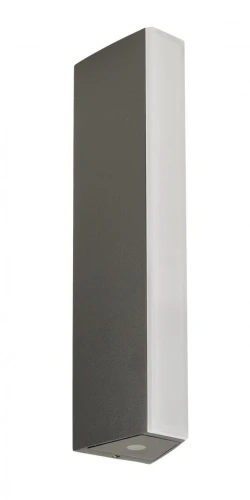 Tin M1401 DG
