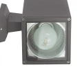 Adela 8001 DG
