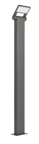 Neo 11702-1000 DG