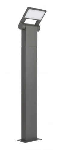 Neo 11702-600 DG