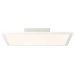 Plafon Brilliant BUFFI G90356A05 biały LED szer.39.5cm