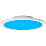 Plafon Brilliant ABIE G97060/05 biały LED