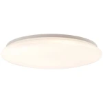Plafon Brilliant FARICA G97132/05 biały LED
