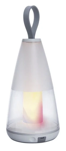 PEPPER 8500102331