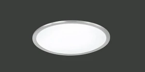 Plafon Trio PHOENIX 674094507 szary LED