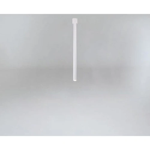 ALHA Y 9001/BI/80
