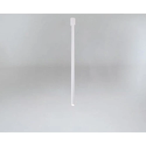 ALHA Y 9001/BI/110