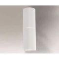 NEMURO (white) 7469