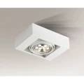 KOGA (white) 7115