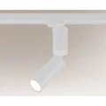 SHIMA (white) 7697