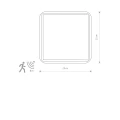 Plafon TAHOE biały SENSOR 2xE27 szer.25cm