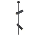 Plafon ELTI C021CL-02B czarny 2xGU10 szer.20cm