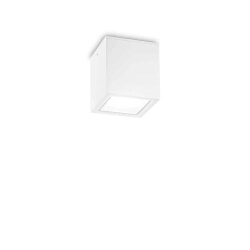 Plafon TECHO PL1 SMALL biały 1xGU10 szer.9cm