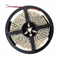 Taśma LED Pro 120 LED 48W 3000K IP65 5m