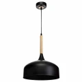 Lampa wisząca TAYLOR 1xE27 60W czarny